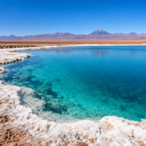 Laguna Cejar y Tebenquinche — Privado con entrada y cóctel