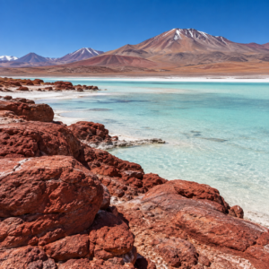 Lagunas Altiplánicas, Piedras Rojas y Chaxa — Privado con almuerzo y entrada